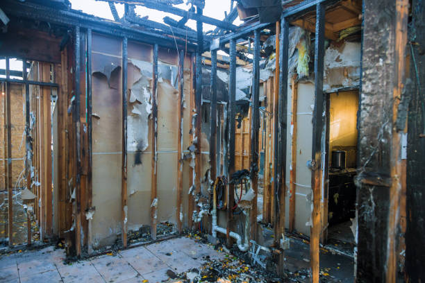 Professional Fire Damage Assessment technician working in Winnsboro, TX